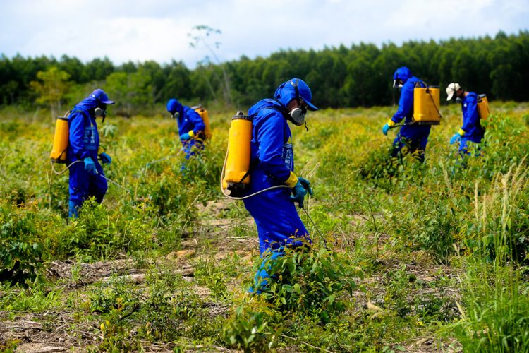 SILVICULTURA-APLICACAO-DE-HERBICIDA--750x500